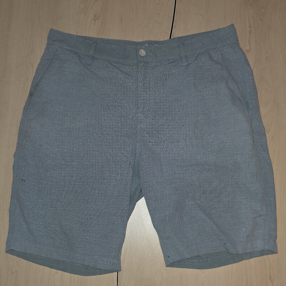 RVCA Light Blue Flat Front Shorts